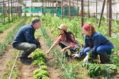 Collaboration between scientists and growers. Collaboration between scientists and growers.