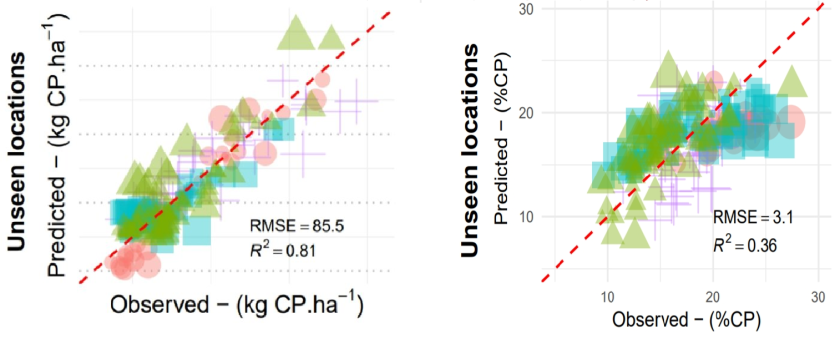 Figuur 1. De relatie tussen gemeten en voorspelde RE opbrengst (links) en RE gehalte (rechts). RMSE betreft de afwijking voor RE-opbrengst in kg.ha-1 en RE-gehalte in g.kg-1. Figuur 1. De relatie tussen gemeten en voorspelde RE opbrengst (links) en RE gehalte (rechts). RMSE betreft de afwijking voor RE-opbrengst in kg.ha-1 en RE-gehalte in g.kg-1.