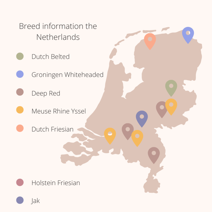 Breed information the Netherlands