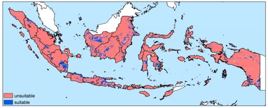 Figure 2: Land suitability for true shallot systems Suitable if: Elevation<1000 m, Slope<5%, 5<pH-H2O<8, SOM<20% and Clay<35%. Figure 2: Land suitability for true shallot systems Suitable if: Elevation<1000 m, Slope<5%, 5<pH-H2O<8, SOM<20% and Clay<35%.