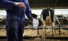 Onderzoek naar methaan uit mest Onderzoek naar methaan uit mest