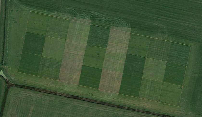 Afbeelding 2. Proefveld met 24 veldjes van 20x20 m op Dairy Campus, Leeuwarden. De veldjes verschilden in maairegime en bemestingsniveau (bron: Google Earth