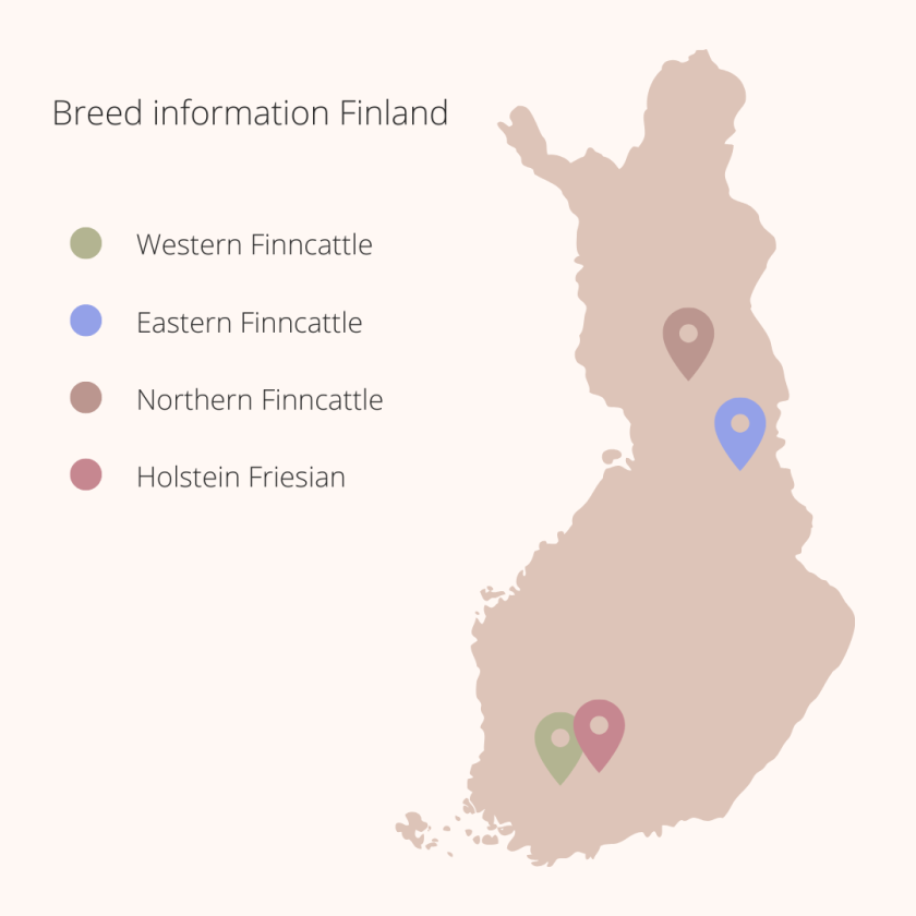 Breed information Finland