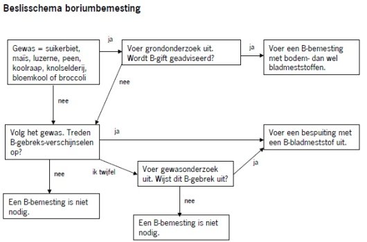 beslisschema boriumbemesting P95.jpg beslisschema boriumbemesting P95.jpg