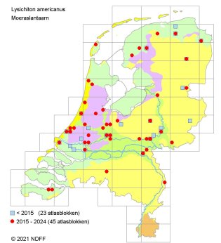 Moeraslantaarn verspreidingskaart