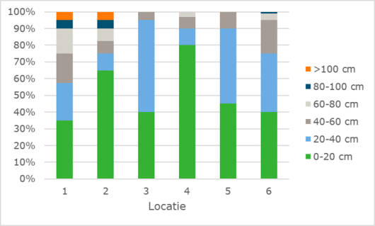 Opbouw van het wortelpakket van de duizendknoophaarden op zes verschillende locaties. De grafiek toont hoe per locatie de wortels van de duizendknoop verhoudingsgewijs verdeeld zijn over de verschillende bodemdieptes (0-20 cm, 20-40 cm, 40-60 cm, etc.).